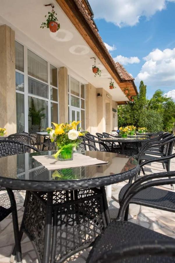 Hotel Parc Бэиле-Говора Экстерьер фото